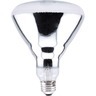 Special Use Bulbs